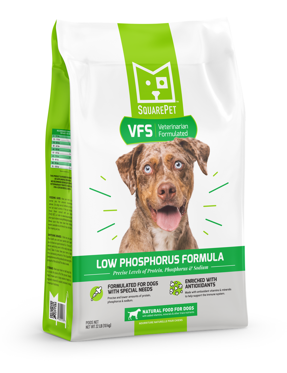 Low sodium diet for dogs best sale