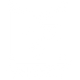 SquarePet