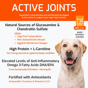 VFS Active Joints arthritis hip & joint dog food veterinary diet.