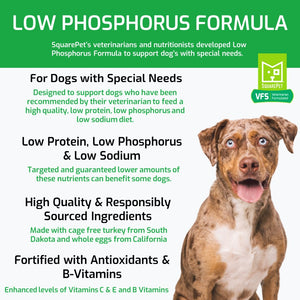 Veterinarian Formulated Solutions low phosphorus dog food for kidney care features and benefits.